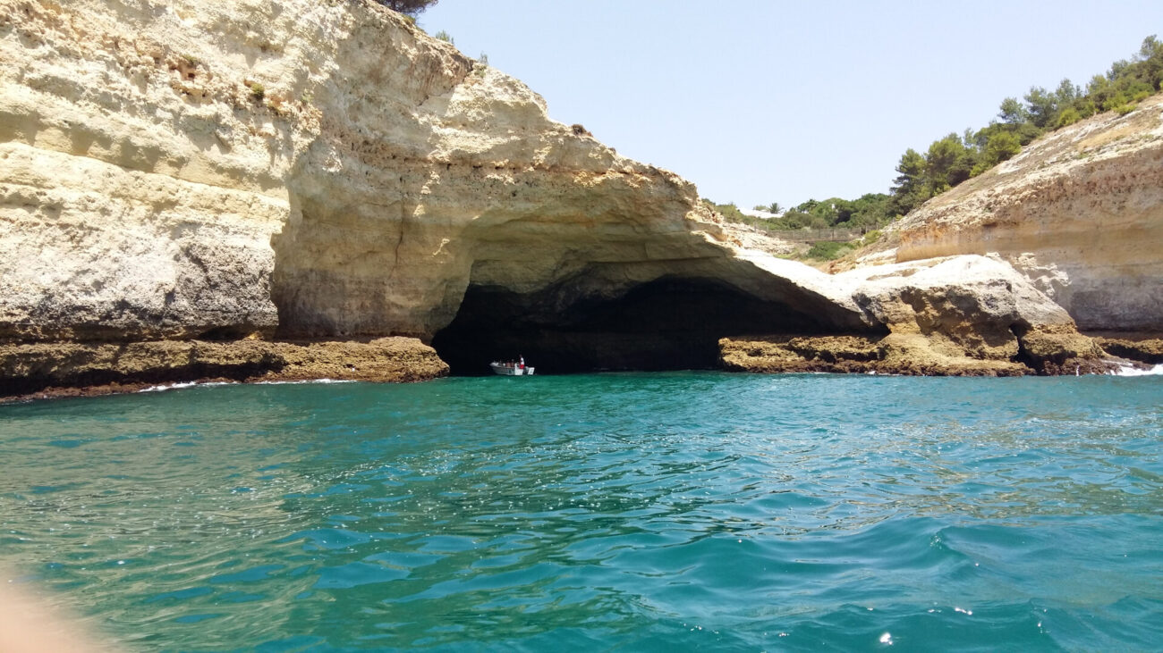 5bc464213f3ad761528647