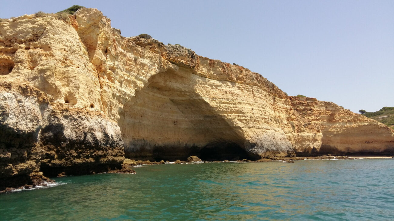 5bc4642331f93522036681