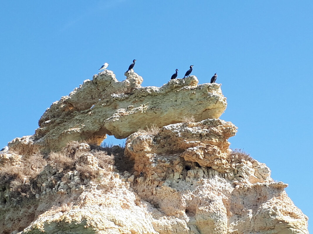 5bc46423ccef0131736043