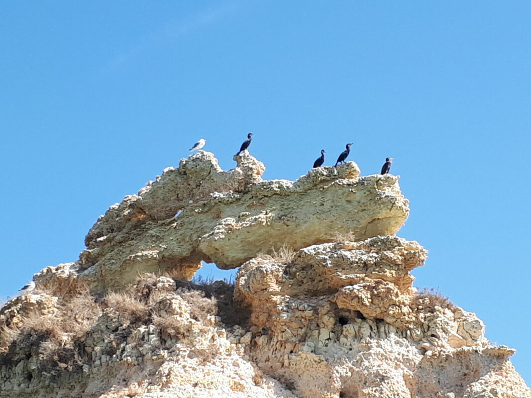 5bc4642467147214865706