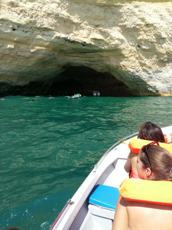 5bc46426b52c6518078733