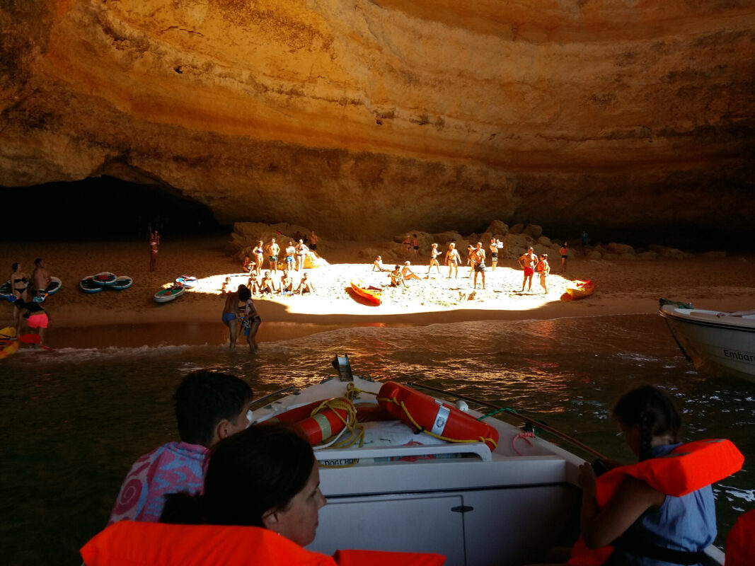 5bc464295064d971931498