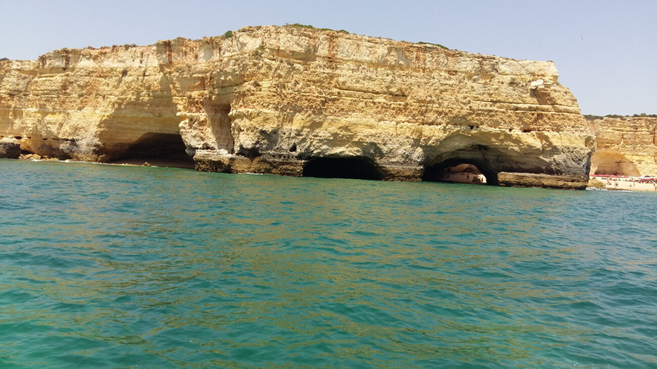 5bc464301bc4a625867815