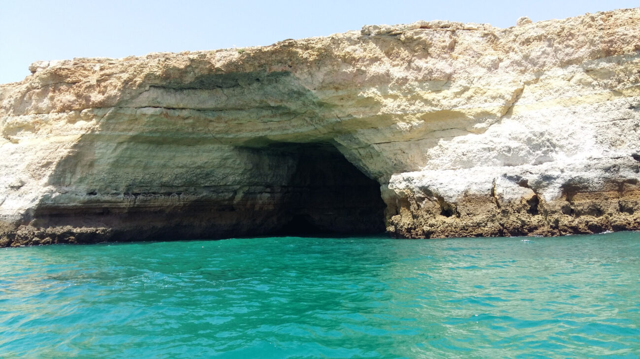 5bc4643065e39655666344