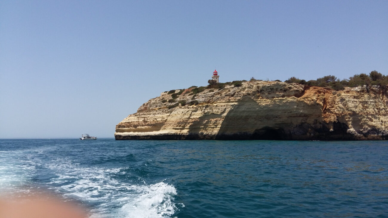 5bc464328d33a371339176